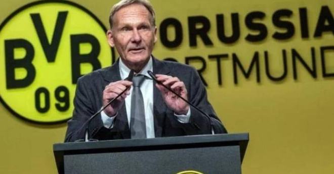 对背靠背轮 对背靠背轮