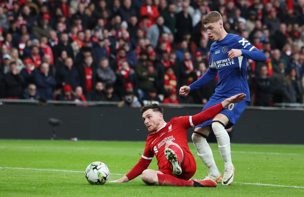 对山东蜜獾 对山东蜜獾